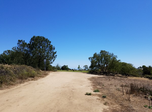 Aliso and Wood Canyons Wilderness Park