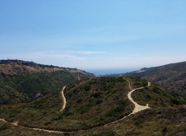 Laguna Coast Wilderness Park